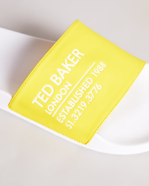 AZIELL - Ted Baker Sandals